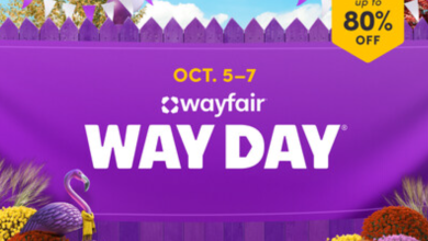 Way Day 2024
