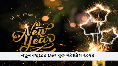 নতুন বছরের ফেসবুক স্ট্যাটাস ২০২৫