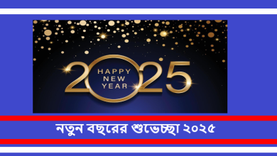 নতুন বছরের শুভেচ্ছা ২০২৫