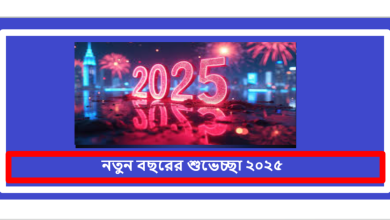 নতুন বছরের শুভেচ্ছা ২০২৫ স্ট্যাটাস