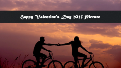 Happy Valentine's Day 2025 Picture