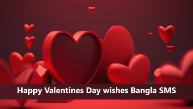 Happy Valentines Day Wishes