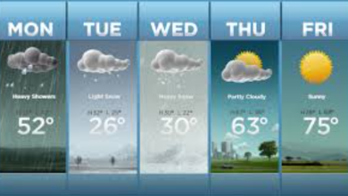 Weather Forecast